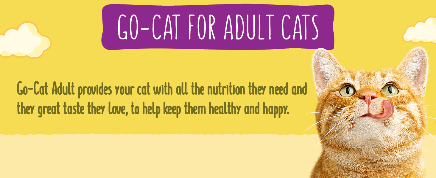 go cat; herring; adult