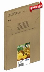 Epson 604XL Pineapple