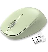 Wireless Mouse for Laptop Silent Cordless 2.4G USB Slim Mouse Wireless Optical Ambidextrous Compu...