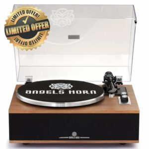 All-in-One Vinyl Record Player