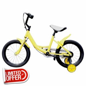 16 Inch Kids Bike Universal Kids Bicycle with Removable Training Wheels