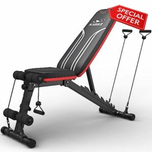FLYBIRD Adjustable Bench