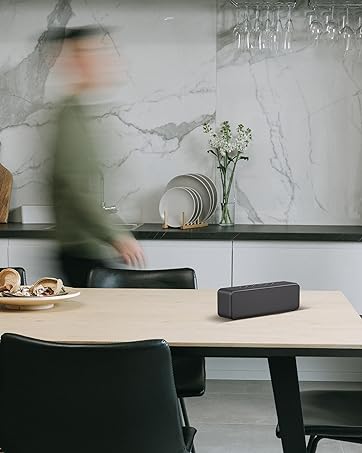 portable speaker