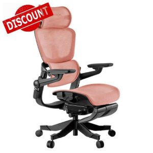 HINOMI 3D Lumbar Support Ergonomic Office Chair 5D Armrest Relieve Back Pain Home Computer Chair H1Pro High Back with Adjustable Headrest (Coral Red)