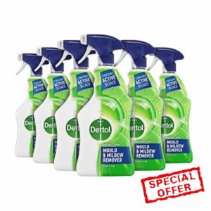 Dettol Antibacterial Mould Spray and Mildew Remover