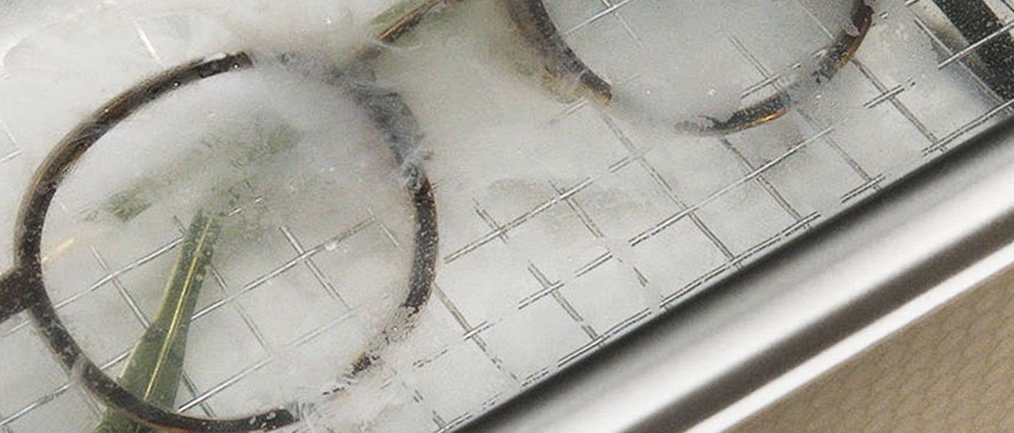 Ultrasonic Cleaner