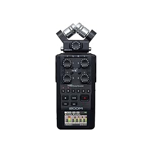 Zoom H6