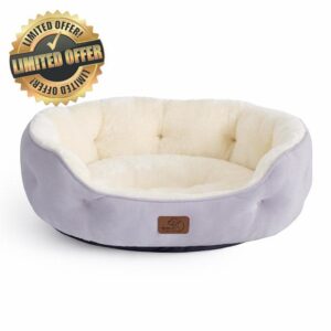 Bedsure Small Dog Bed Washable - Large Cat Beds for Indoor Cats and Puppy