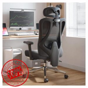 Hbada Ergonomic Office Chair Adjustable Backrest Height