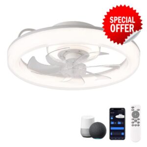 CHANFOK 20'' Ceiling Fans with Lights