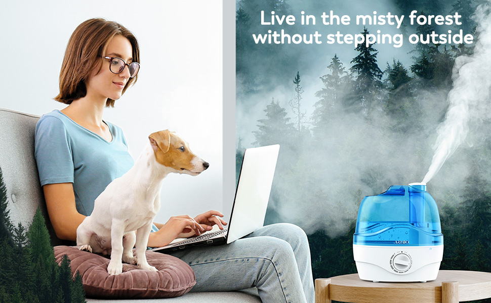 air humidifier