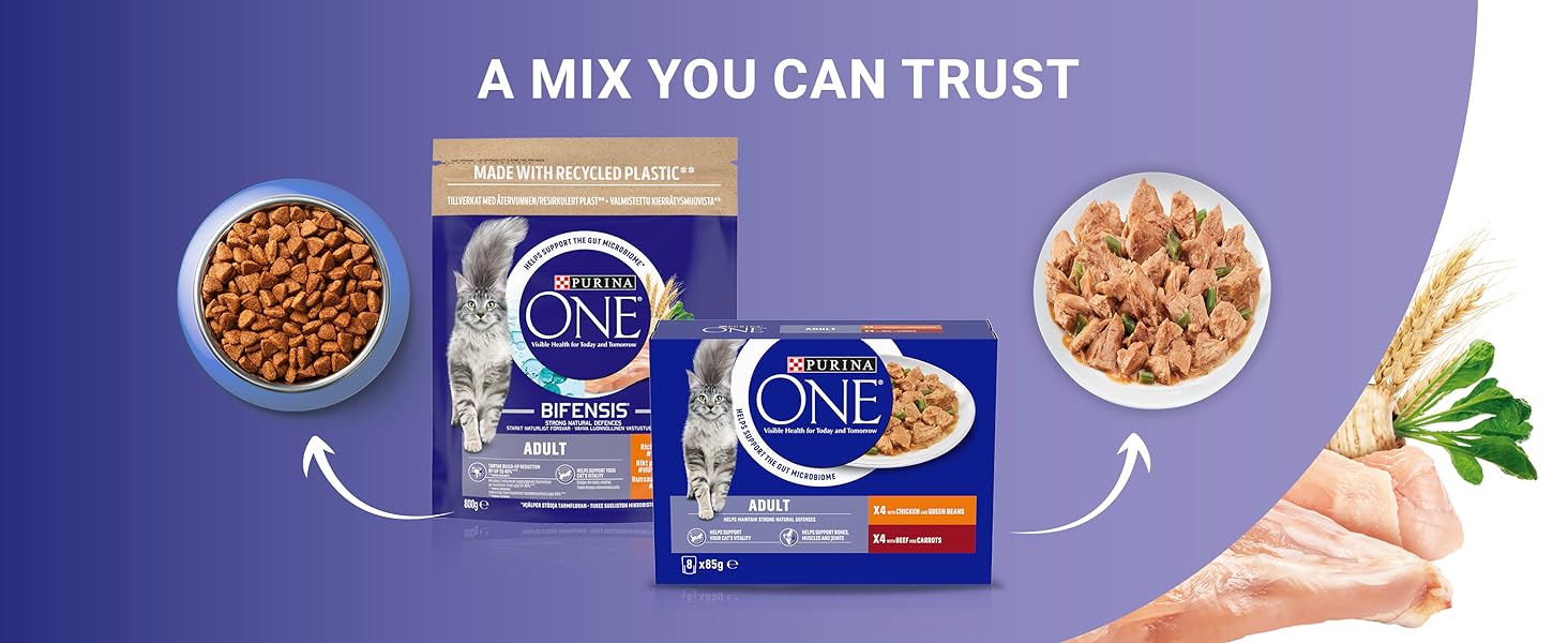 purina one bifensis a mix you can trust wet and dry food