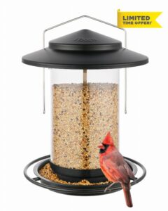 iBorn Metal Bird Feeder for Outside Hanging
