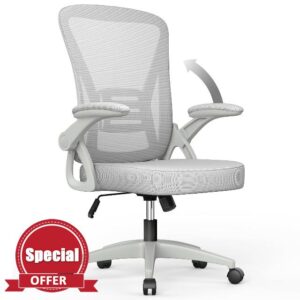 aspaluro Ergonomic Desk Chair with 90° Flip-up Armrest Lumbar Support