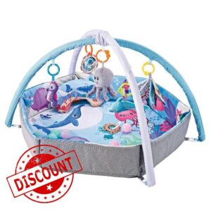Baby Play Gym