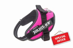 Julius-K9