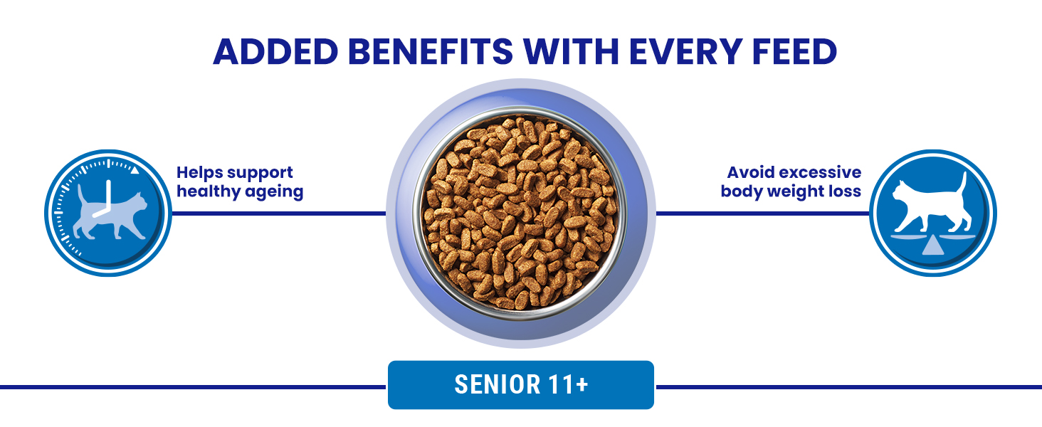 PURINA ONE BIFENSIS PET FOOD CAT FOOD DRY