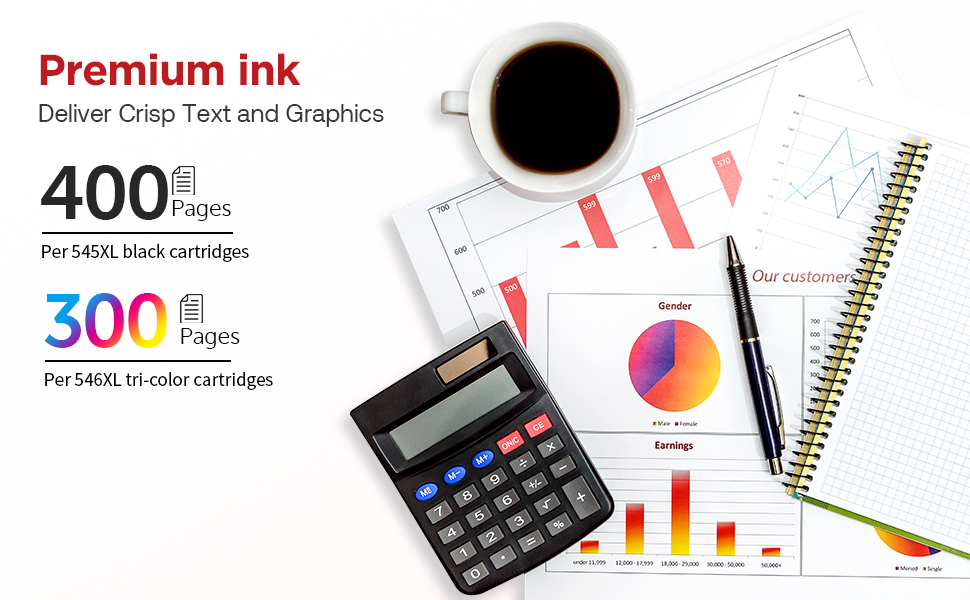 545XL 546XL ink cartridge