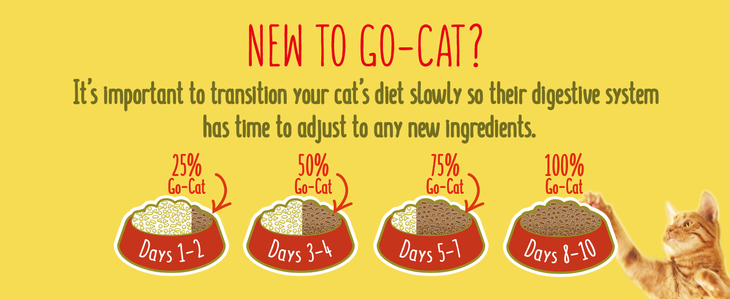 go cat; duck chicken; adult