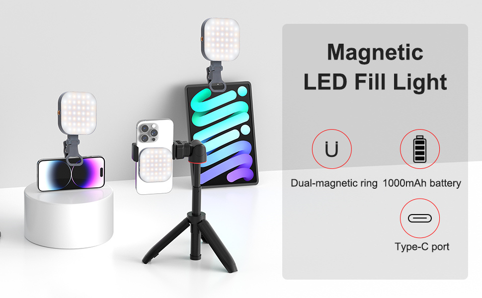 magnetic light