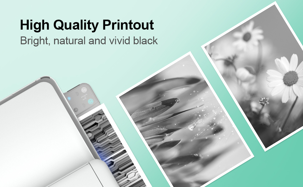 canon pg-545 black ink cartridge Canon 545 Black Ink Cartridges XL PG545XL PG-545XL PG545 PG-545 XL