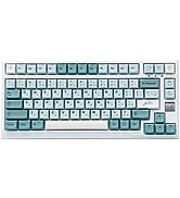 EPOMAKER TH21 21 Keys Hot Swap 2.4Ghz/Bluetooth 5.0/Wired Programmable RGB Mechanical Gaming Nume...