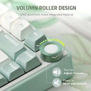 75% TKL Custom Gaming Keyboard Gasket Mount RGB Backlit with Software