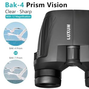 High Powered Binoculars for Bird Watching