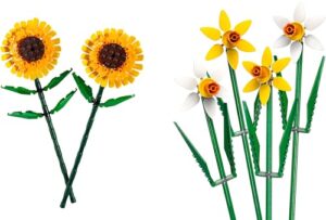 Valentine's Day Treat for 8 Plus Year Old Girls and Boys