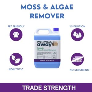 Patio Cleaner