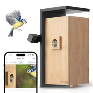 Bird Box Camera