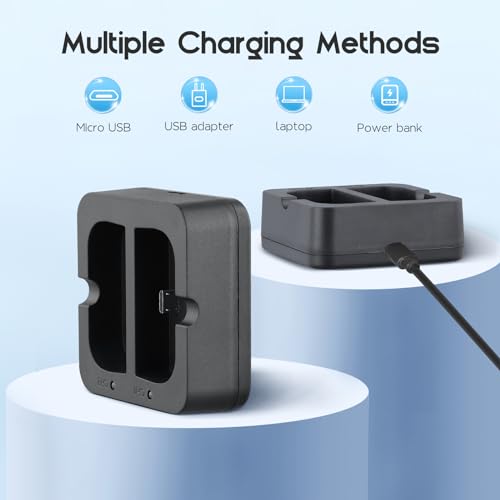 2 Pack Battery and Charger Station