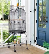 bird cage