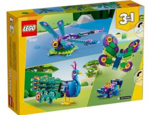 Dragonfly or Butterfly