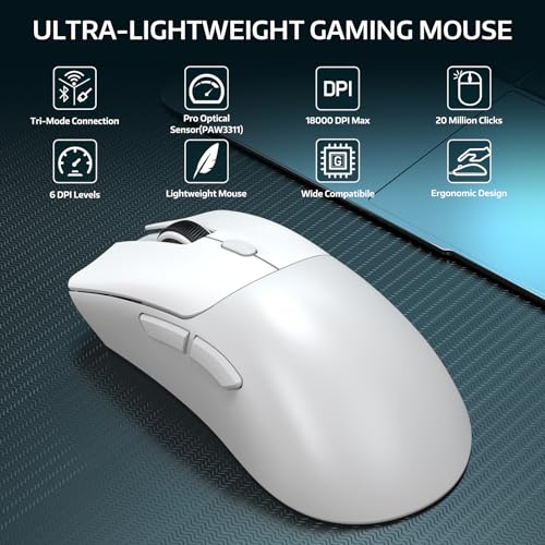 2.4GHz/Bluetooth/Wired Connectivity