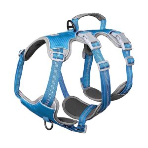 Anti-Pull Dog Harness with Handle