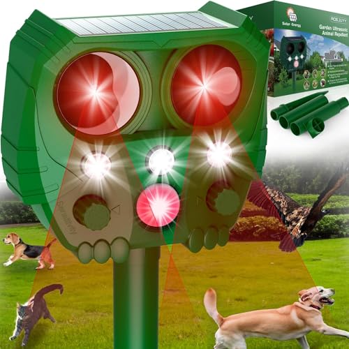 Garden Cat Deterrents
