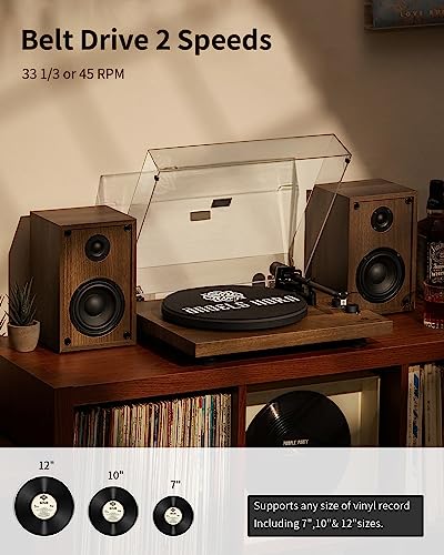 Vinyl Player Turntable Bluetooth HiFi System