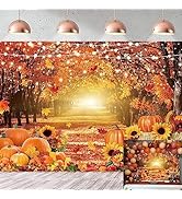 Autumn Forest Backdrop for Portrait Photography 7x5FT, Fall Blue Truck Harvest Pumpkin Farm Backg...