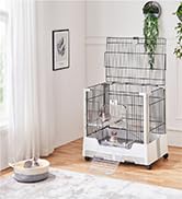bird cage