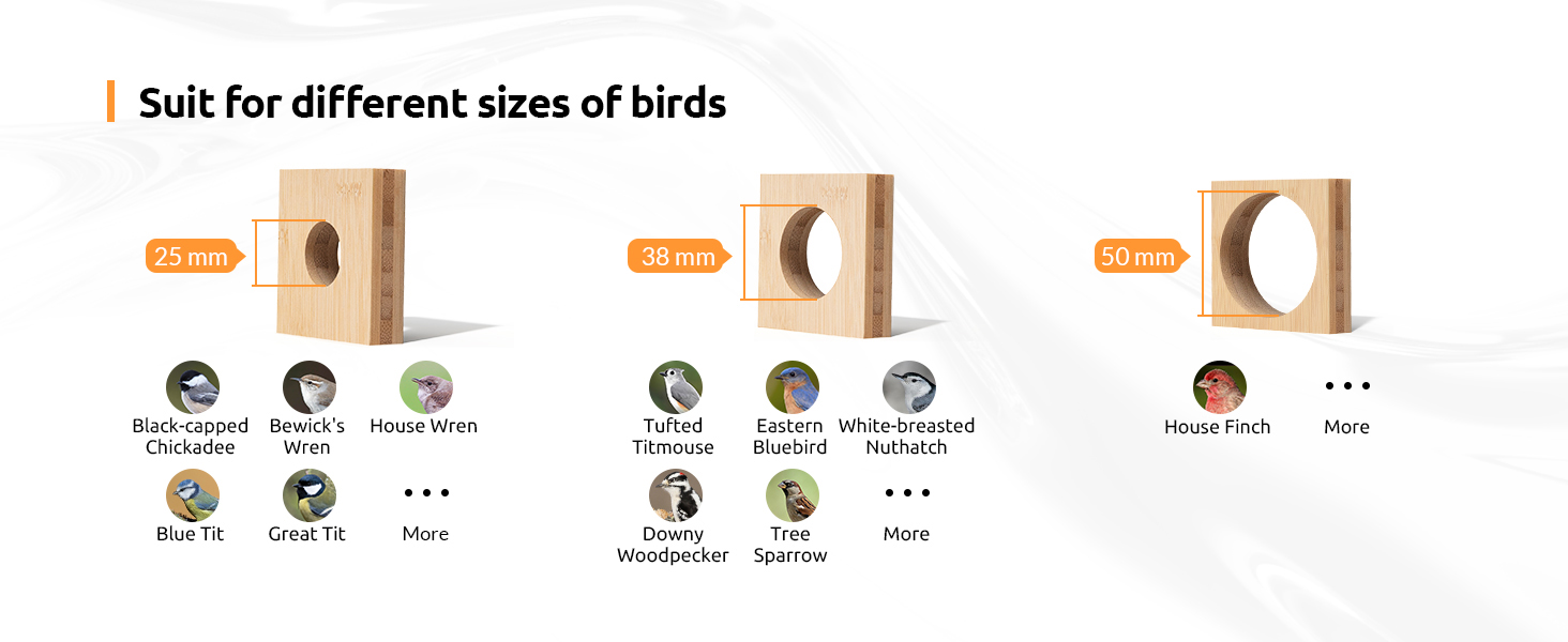 Birdfy Nest- Smart Bird House with Dual Cameras
