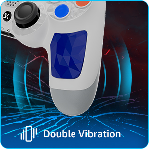 Controller for PS4