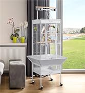 Dog Grooming Tables