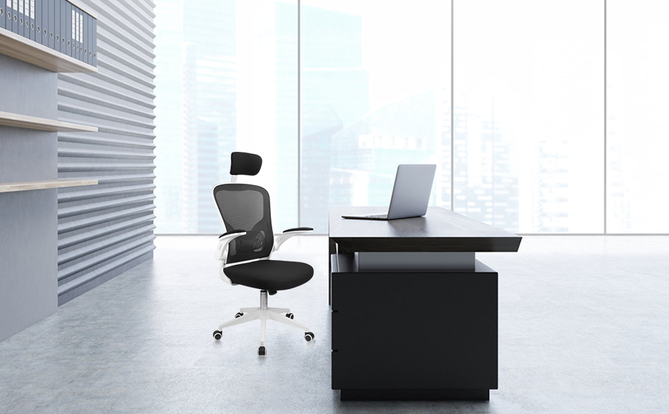 Ergonomic Office Chair
