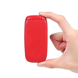 Flip Phone GSM