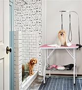 Dog Grooming Tables