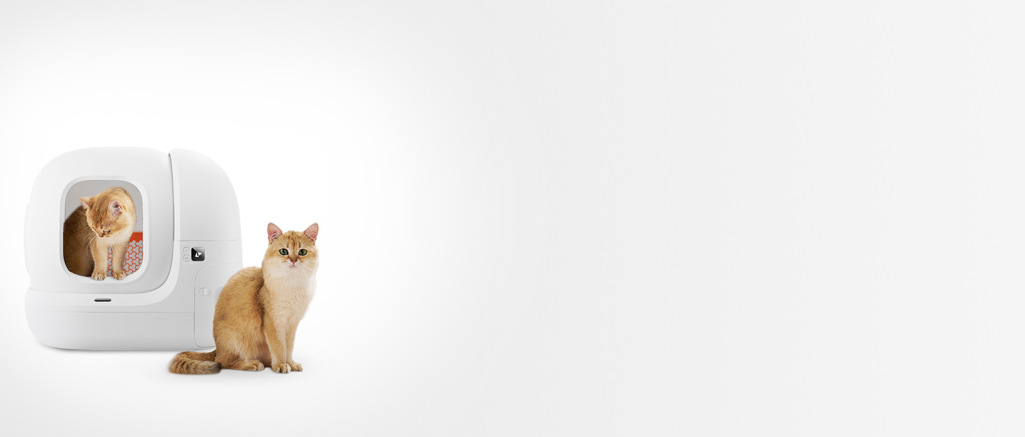 PETKIT CAT LITTER BOX