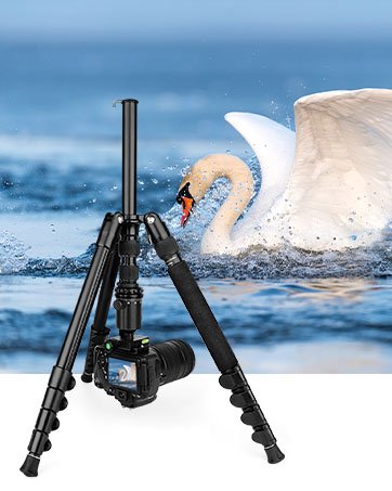 P50 tripod