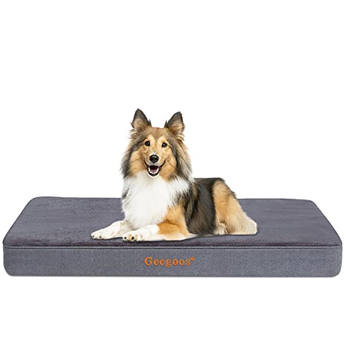 Memory Foam Dog Bed with Washable Removable Cover
