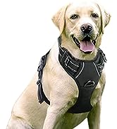 Dog Harness Medium